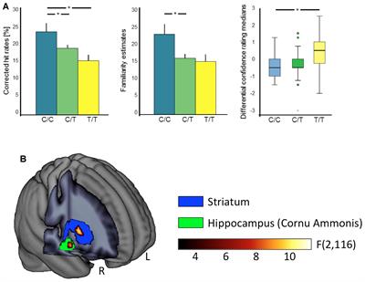 Behavioral and Neural Manifestations of Reward Memory in Carriers of Low-Expressing versus High-Expressing Genetic Variants of the Dopamine D2 Receptor